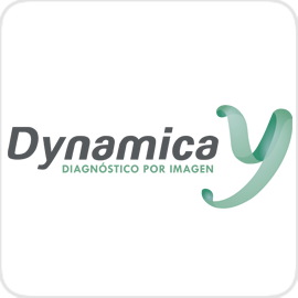 logo DYNAMICA