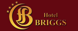 logo HOTEL BRIGGS * * * *