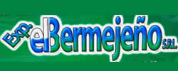 logo EXPRESO EL BERMEJEÑO S.R.L.