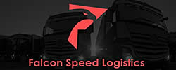 logo FALCON SPEED LOGISTICS