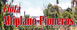 logo FLOTA ALTIPLANO PIONEROS