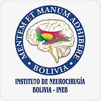 logo INSTITUTO DE NEUROCIRUGÍA BOLIVIA - INEB