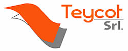 logo TEYCOT