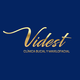 logo VIDEST
