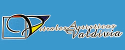 logo VITRALES ARTÍSTICOS VALDIVIA