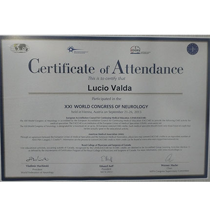 XXI World Congress of Neurology - 2013