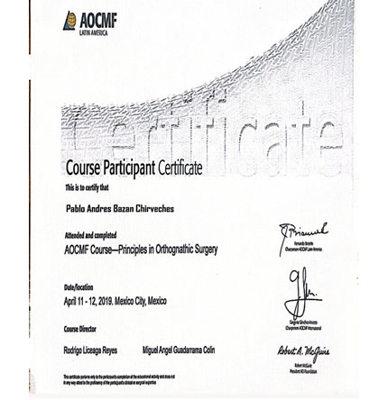 AOCMF Course-Principles in Orthognathic Surgery - The University of Hong Kong