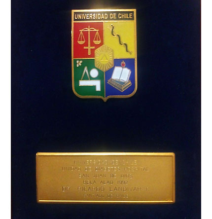 Beca Alad - Universidad de Chile