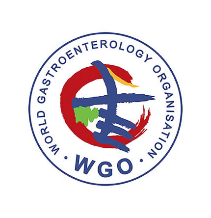 World Gastroenterology Organization