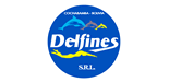 ACADEMIA DE NATACIÓN DELFINES
