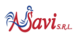 ASAVI S.R.L.
