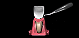 CENTRO DENTAL ESPECIALIZADO EN ENCÍAS