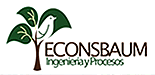 ECONSBAUM S.R.L.