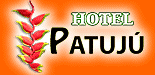 HOTEL PATUJÚ