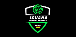 IGUANA IMPORTACIONES