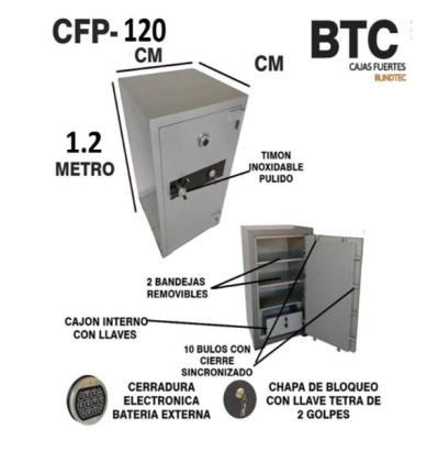 BLINDTEC CAJAS FUERTES 1