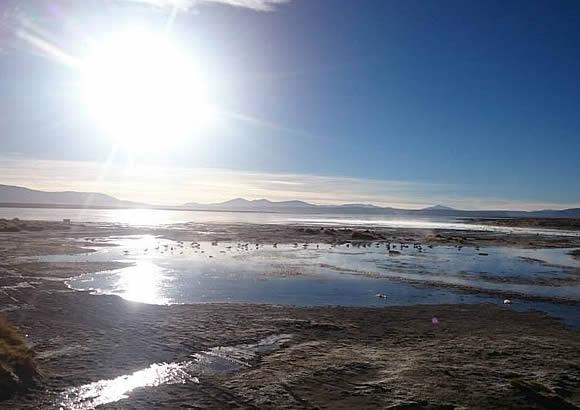 BOLIVIA SPECIALIST 3