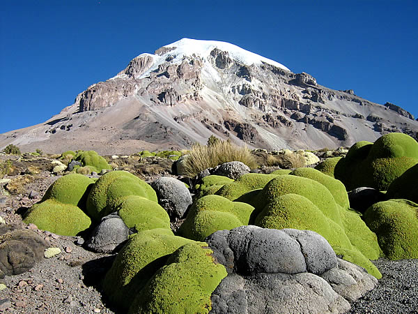 BEAUTY TOURS BOLIVIA 2