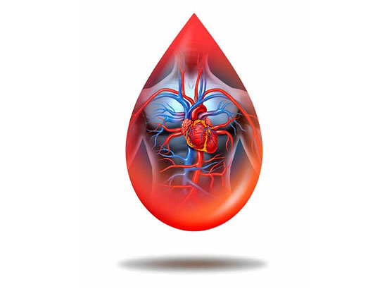 CIEMSI “MEDICINA INTERMOLECULAR” 2