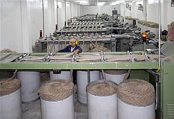 COMPAÑIA DE PRODUCTOS DE CAMELIDOS S.A. - COPROCA 2