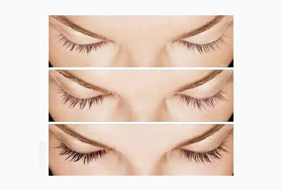 DRA. CARMEN ROSA BEJARANO MOLINA 3