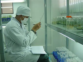 ESCUELA MILITAR DE INGENIERÍA 4