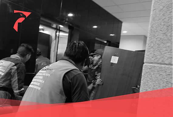 FALCON SPEED LOGISTICS 3