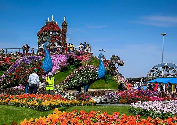 GARDEN WORLD LTDA. 4