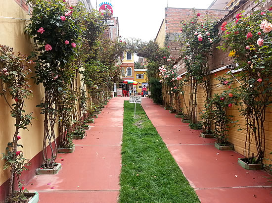 ECO HOSTAL RESTAURANT “6 DE AGOSTO” 3