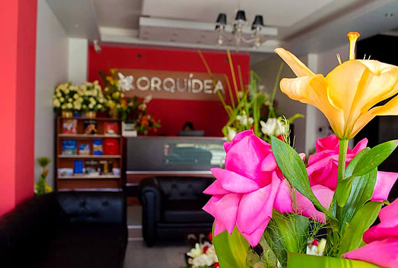 ORQUIDEA HOTEL * * * 0