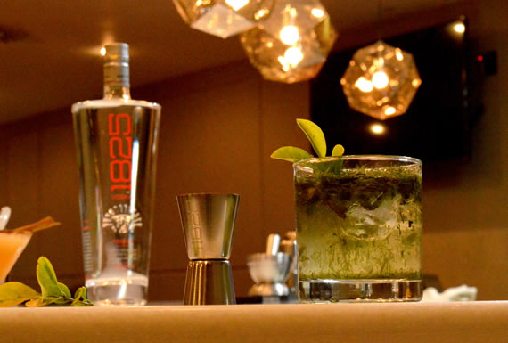 HOTEL CALACOTO * * * * 1