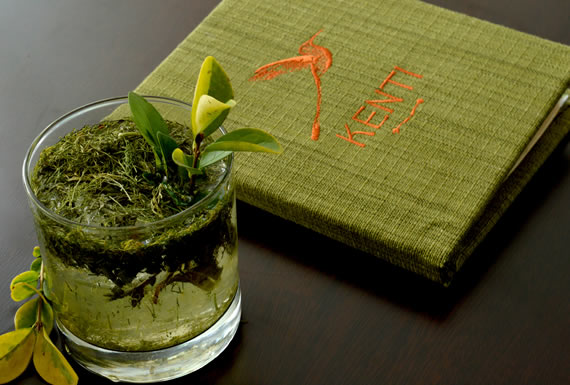 HOTEL CALACOTO * * * * 2