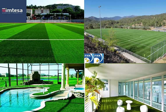 IMTESA IMPORTACIONES 1