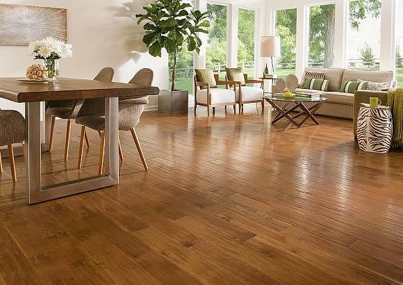 JORGITO IMPORTACIONES 4