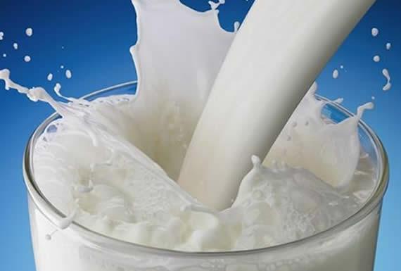 LA CAMPIÑA S.R.L. 0