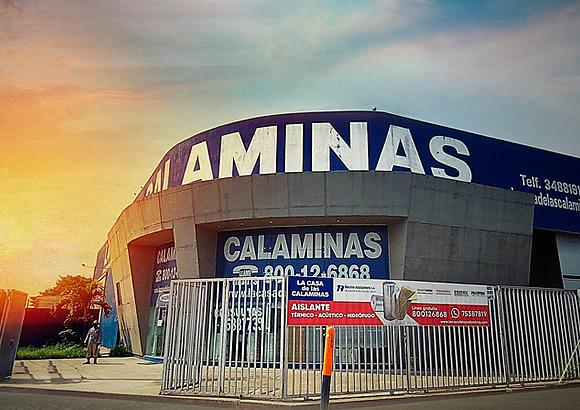 LA CASA DE LAS CALAMINAS 0