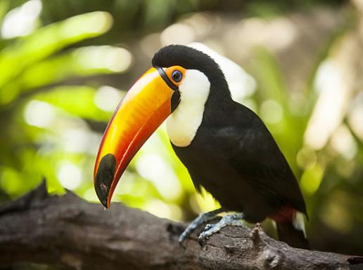 LA RINCONADA ECOPARQUE & RESTAURANTE 4