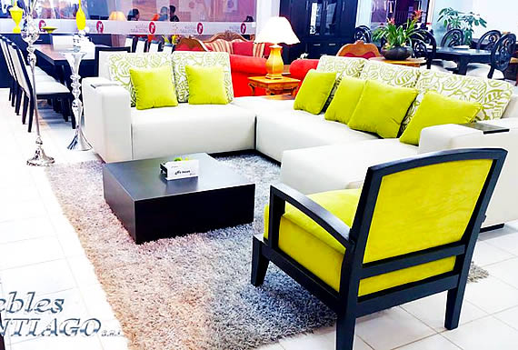 MUEBLES SANTIAGO 1