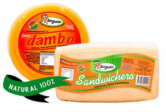 PLANTA ELABORADORA DE QUESO SAN JAVIER 0