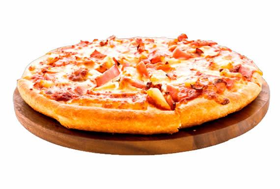 PLANTA ELABORADORA DE QUESO SAN JAVIER 2