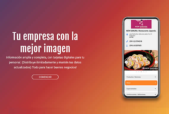 PUBLICIDAD EN INTERNET