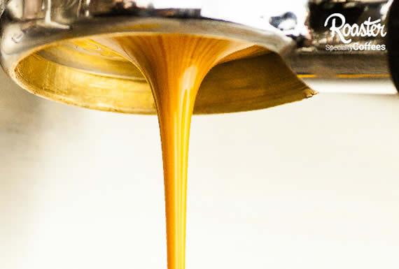 ROASTER - SOPOCACHI 3