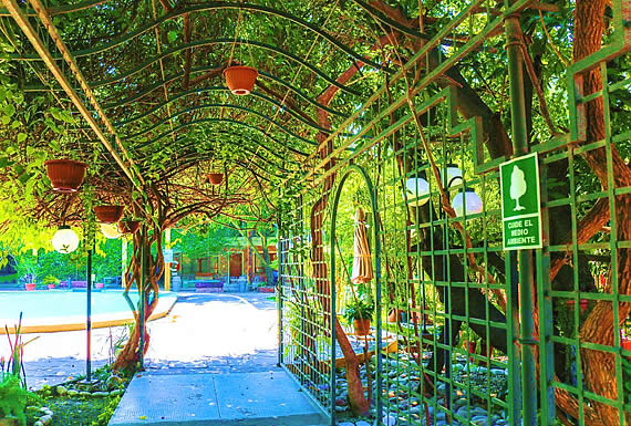 HOTEL EL RANCHO OLIVO * * * * * 1