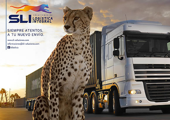 SOLUCIONES DE LOGISTICA INTEGRAL - SLI 3