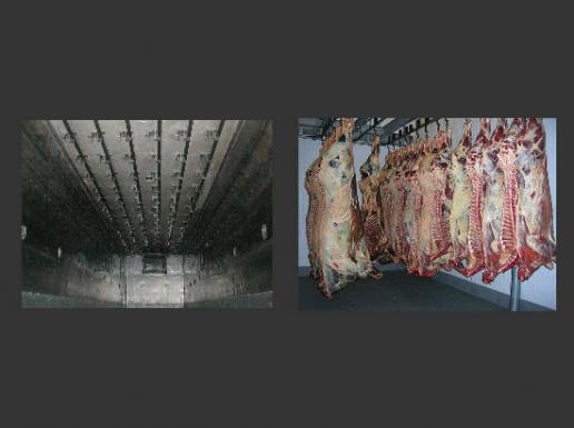 TRANS CANELAS S.R.L. 2