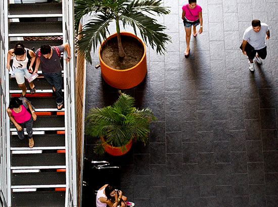 UNIVERSIDAD FRANZ TAMAYO 3