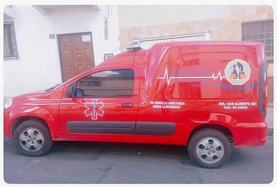 VETERINARIA ARCA DE NOE 1