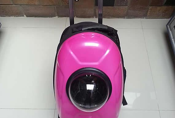 VETERINARIA ARCA DE NOE 3