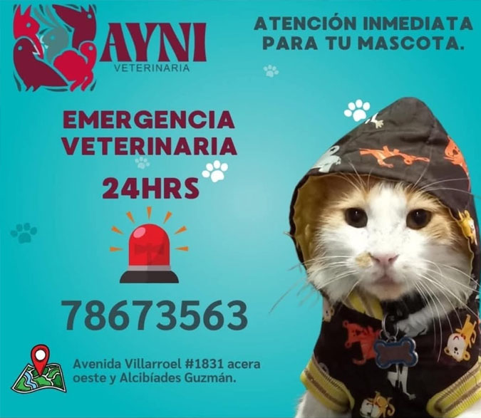 Veterinaria Ayni