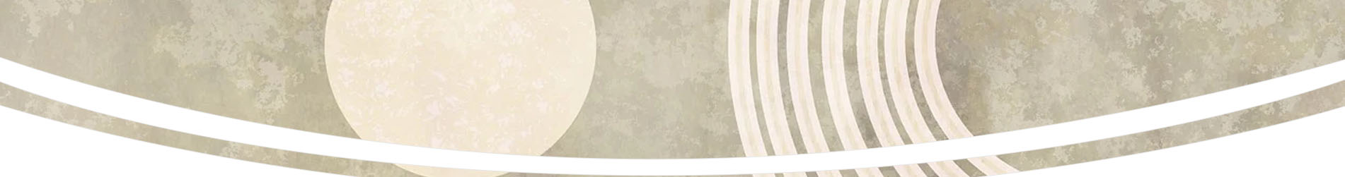 Fondo BC-8